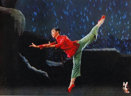 怎么买WA驾驶证芬兰护照模板怎么买到